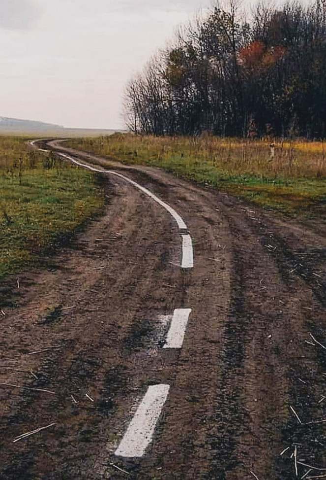 100999160_246618066758965_1723628250569113600_n